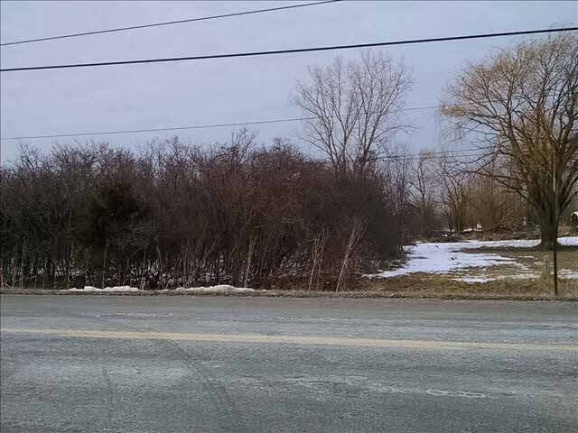 0 Ceila Road Carleton, MI 48117 - Photo 4 of 9