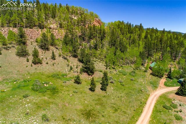 0 Beaver Valley Road Victor, CO 80860 - Photo 24 of 38 Gallery Image 24