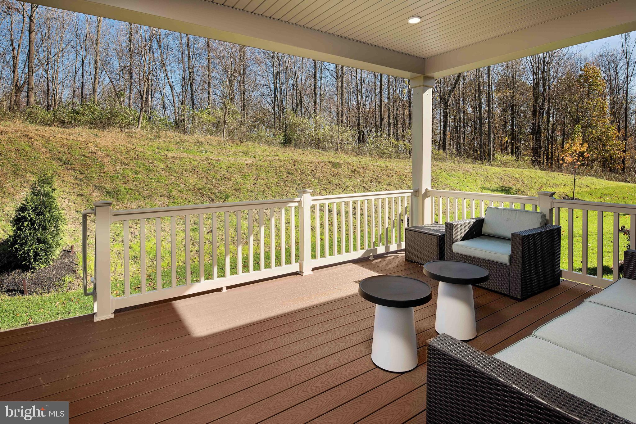 6489 Swimmer Row Way Columbia, MD 21044 - Photo 23 of 24 Deck