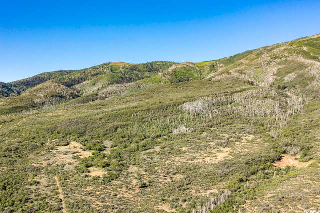 2120 Little Valley Road Wallsburg, UT 84082 - Photo 38 of 50