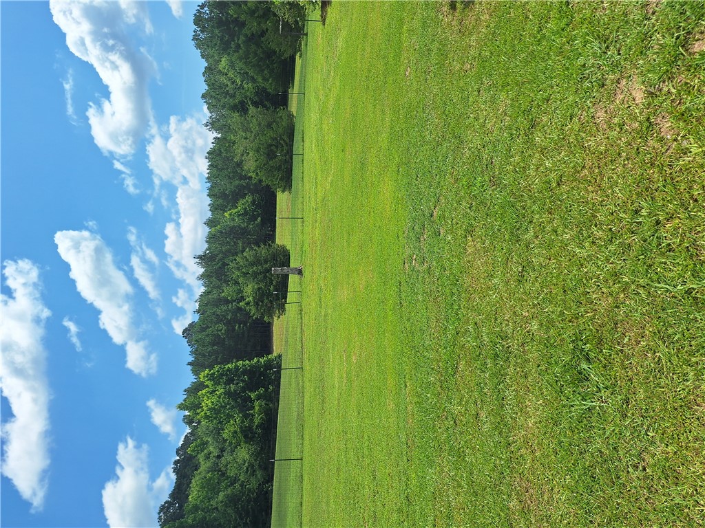 3314 Browns Bridge Road Bowman, GA 30624 - Photo 4 of 28 A tranquil meadow with verdant grass and a distant tree line under a vast, cloud-dotted sky.