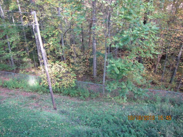 7630 Webb Road Boones Mill, VA 24065 - Photo 2 of 10 Back yard
