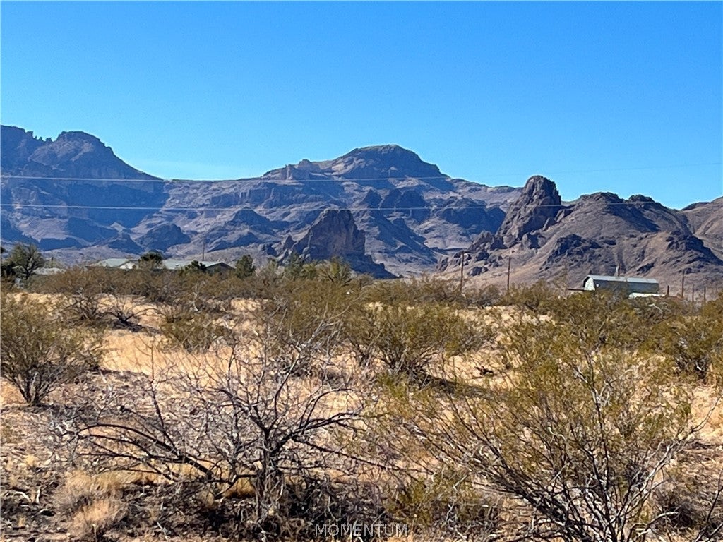 2418 South Concho Road Golden Valley, AZ 86413 - Photo 9 of 24 Gallery Image 9