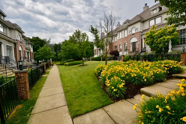 a view of a pathway with a yard