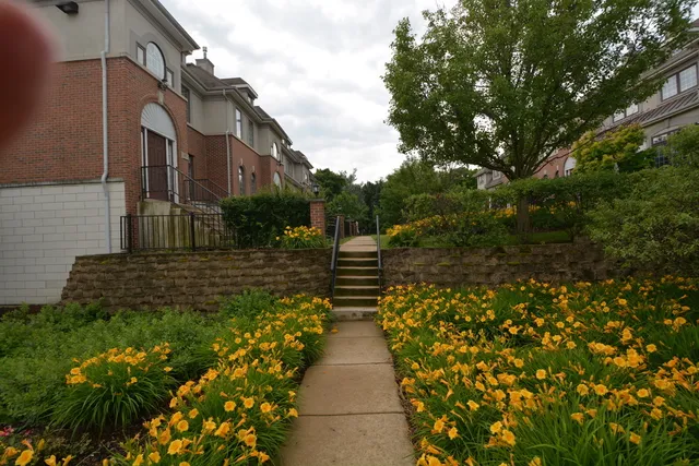 a view of a pathway both side of house