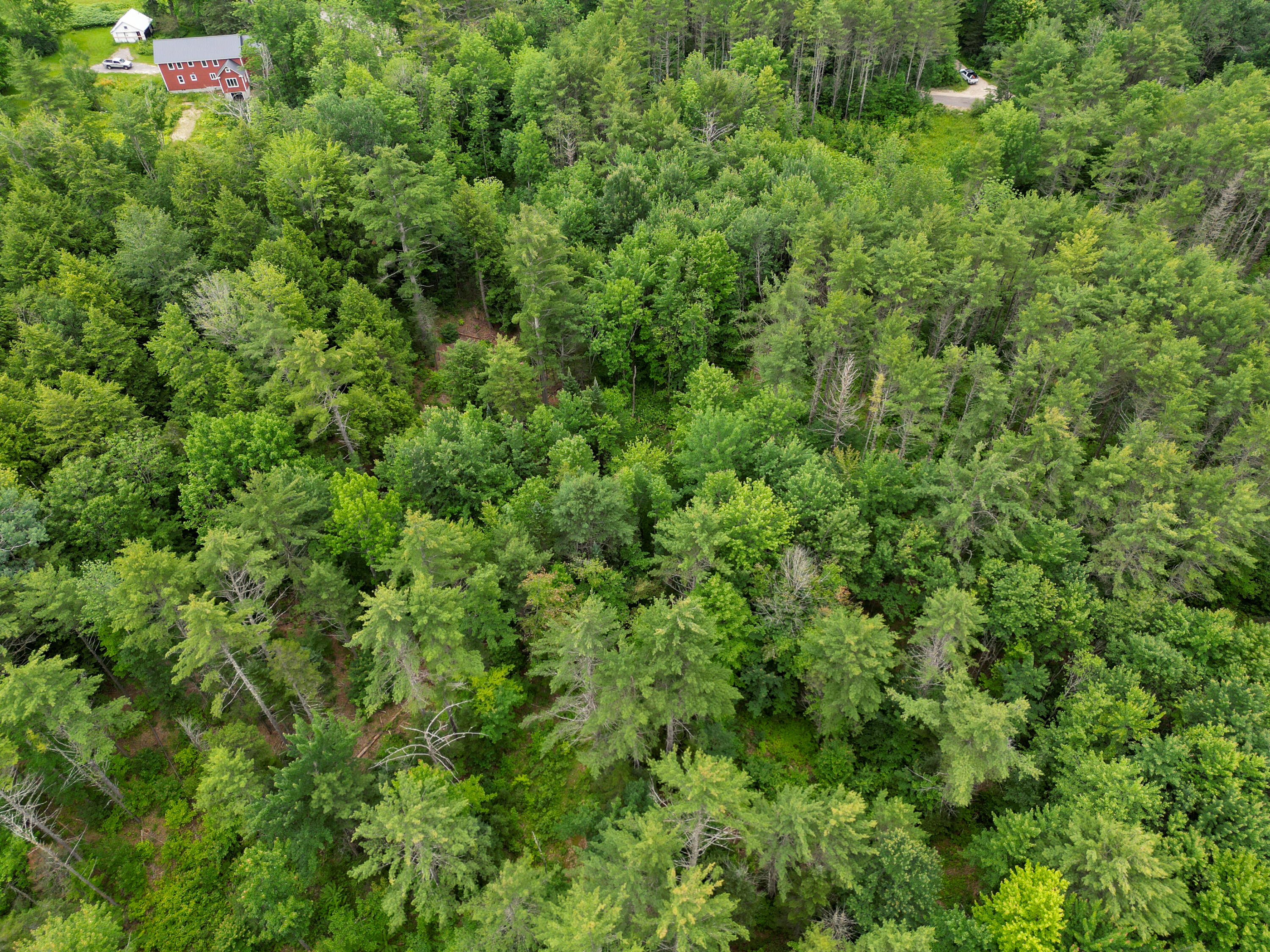 Lot 30 Irish Neighborhood Road Bethel, ME 04217 - Photo 17 of 24 DJI_0622