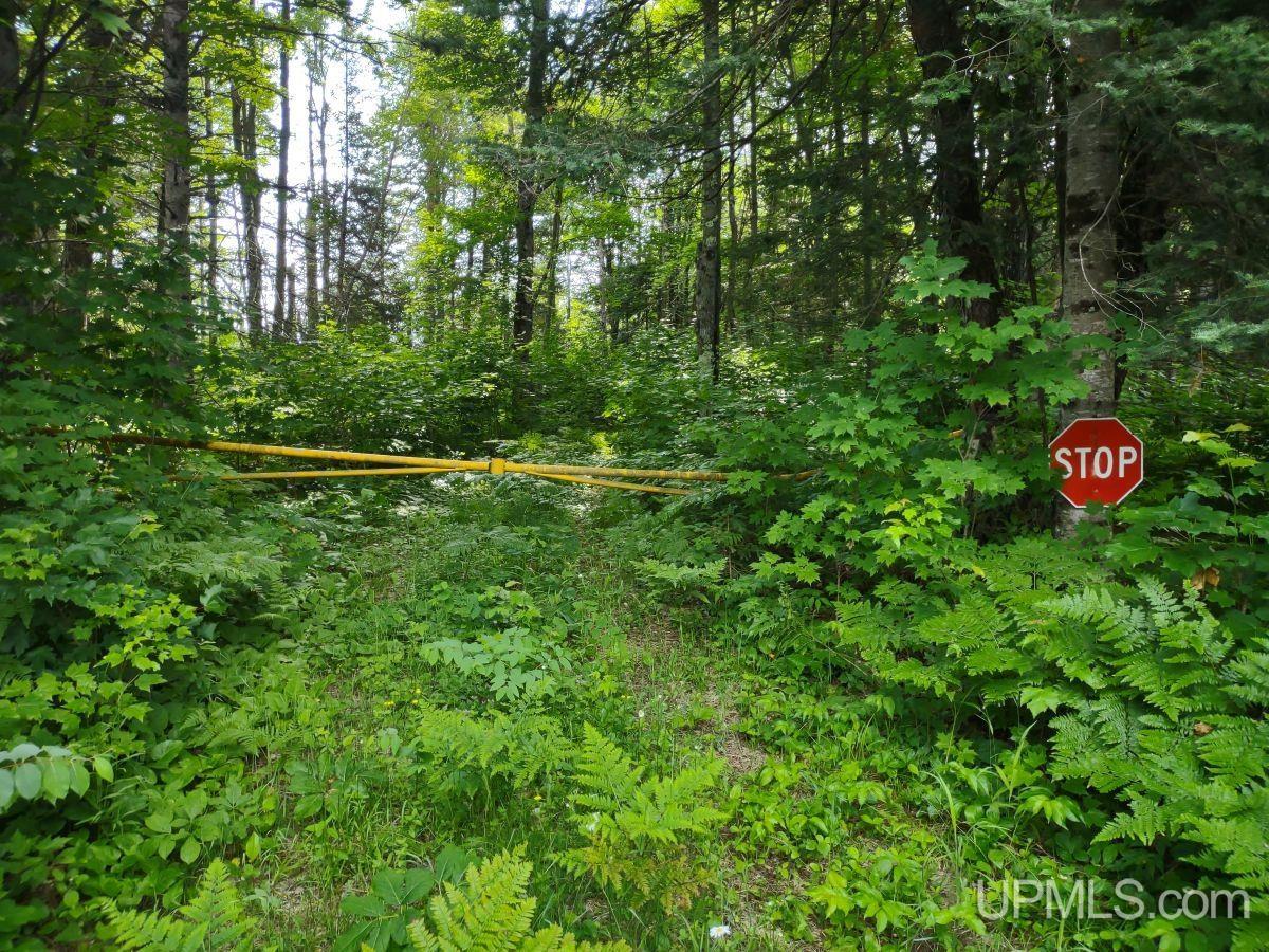 Tbd Spot Lake Road Crystal Falls, MI 49920 - Photo 22 of 26