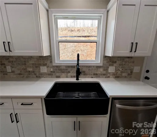 a kitchen with a sink a stove and cabinets