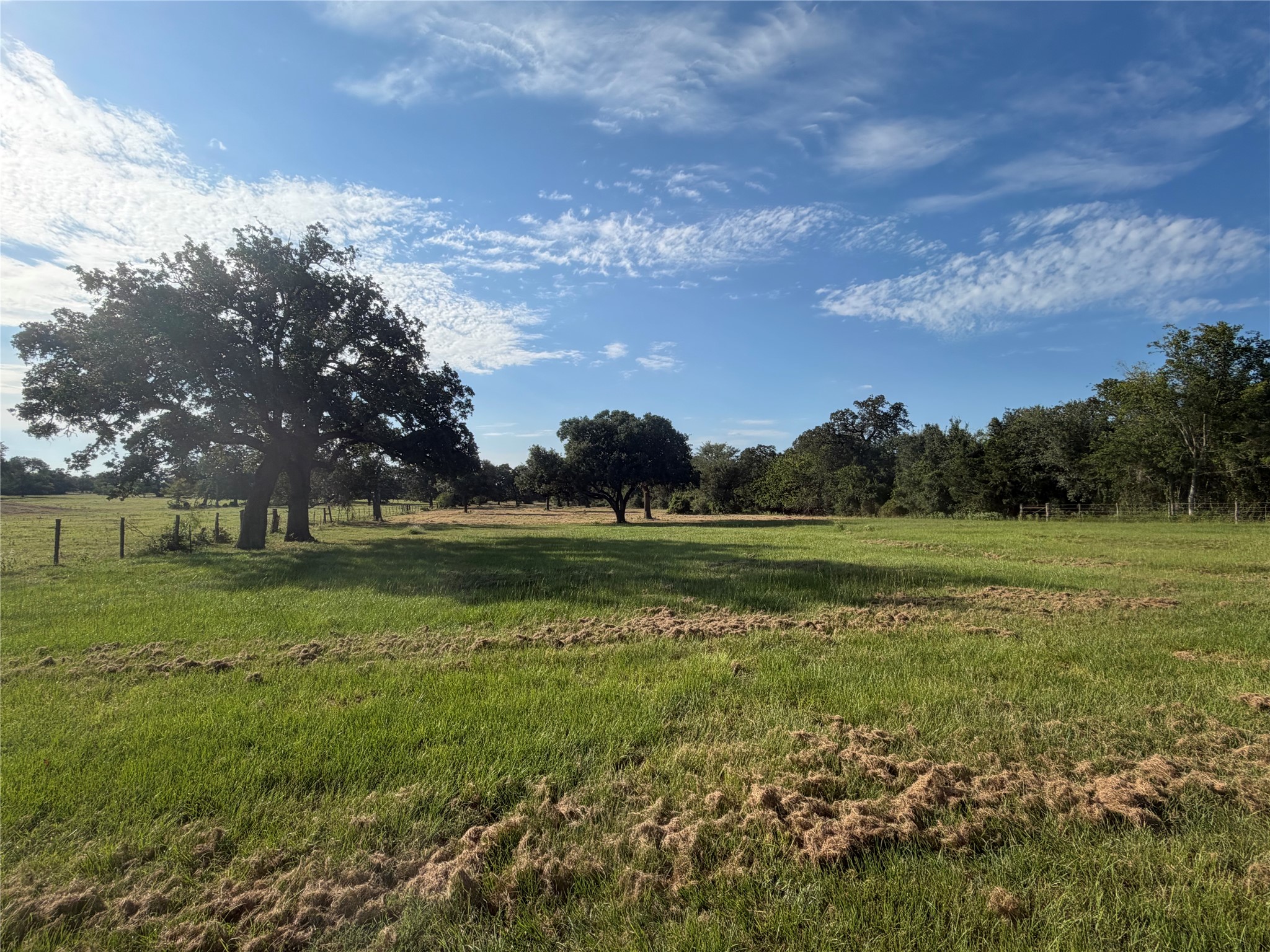 Tbd Lewis Road Burton, TX 77835 - Photo 2 of 14 Gallery Image 2