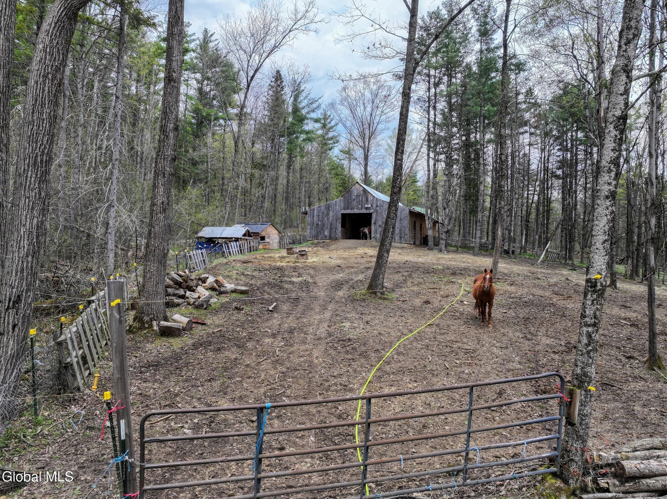 631 Hogback Road Crown Point, NY 12928 - Photo 46 of 50 photo_offline_024