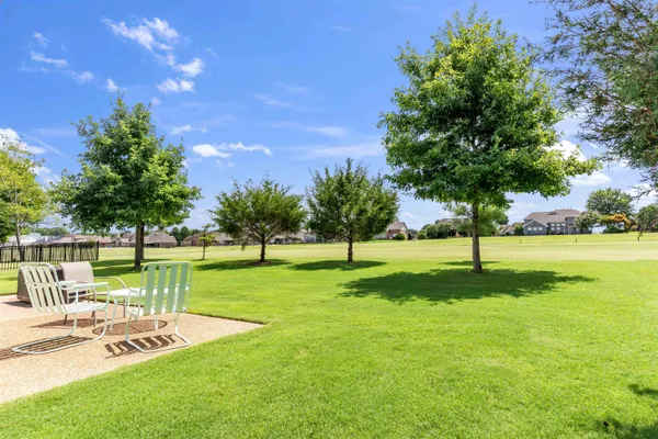 a view of a park with large trees