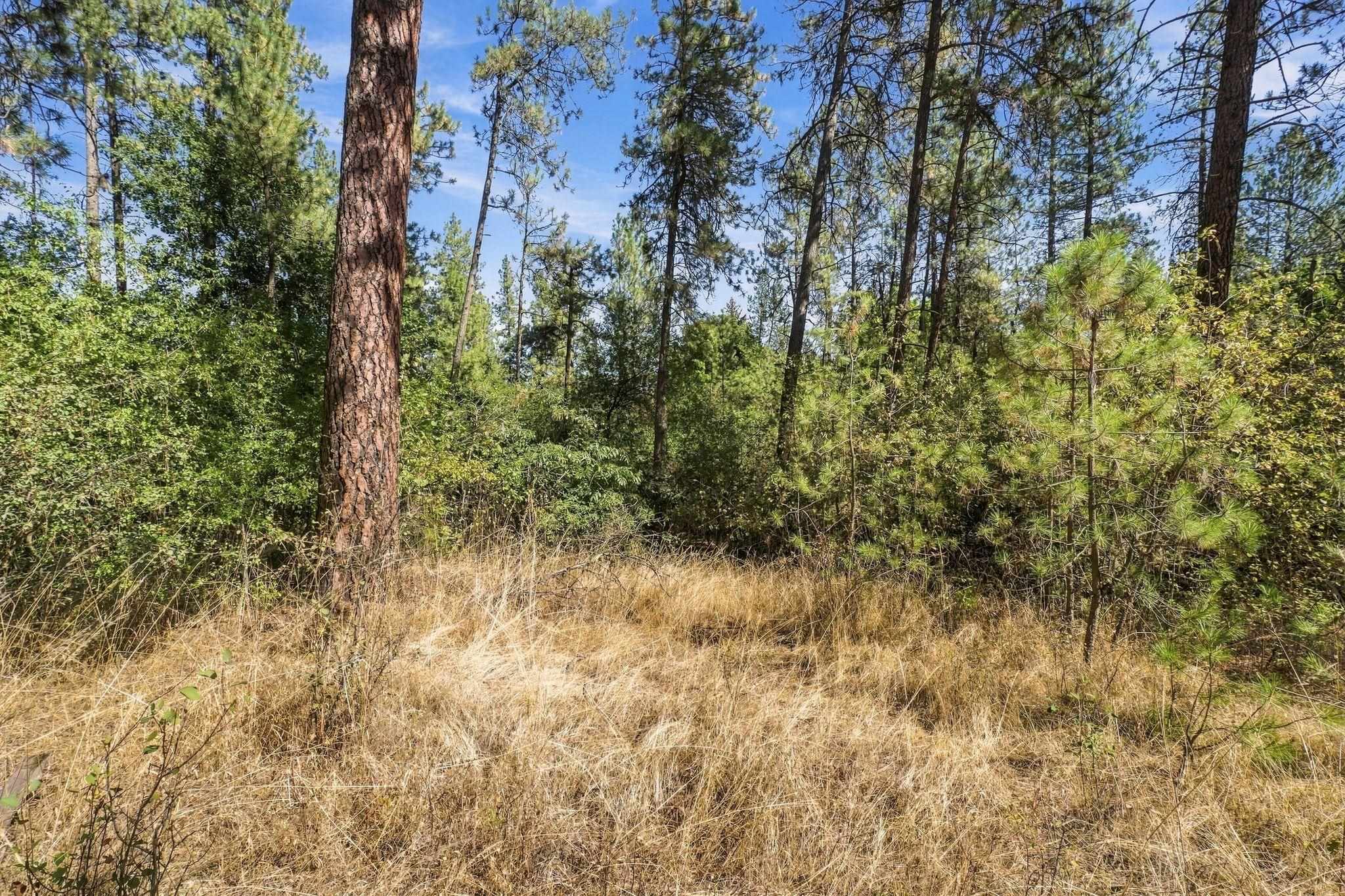 Xxx West Thorpe Road Spokane, WA 99224 - Photo 6 of 15 Gallery Image 6