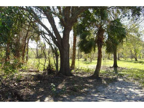 4133 James Road Cocoa, FL 32926 - Photo 1 of 2 Primary Photo