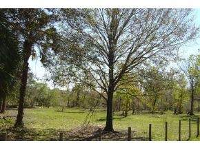 4133 James Road Cocoa, FL 32926 - Photo 2 of 2 Additional Photo