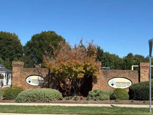 a view of a bunch of trees and bushes
