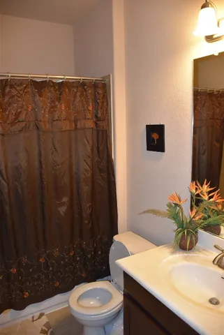 a bathroom with a sink a toilet and shower curtain