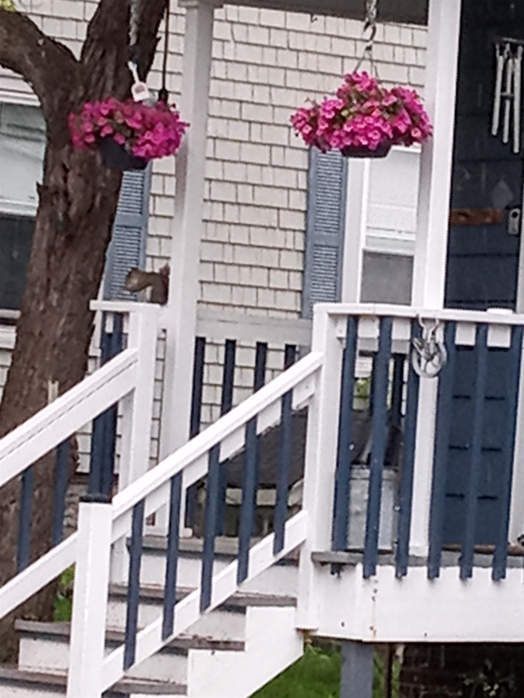 25 Laurel Street Berlin, NH 03570 - Photo 43 of 51