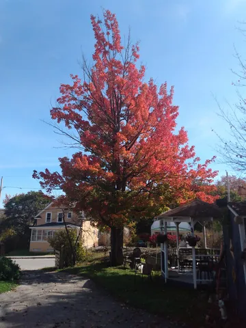 $185,900 | 25 Laurel Street, Berlin, NH 03570