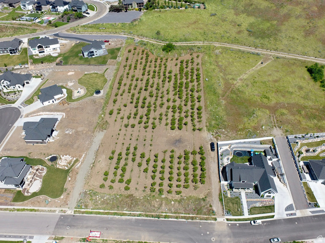 1985 South 100 West, Unit 16 Perry, UT 84302 - Photo 2 of 7 Expansive lot featuring rows of newly planted trees