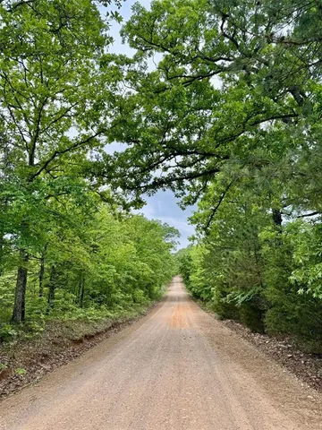 a view of a plants and trees in a yard