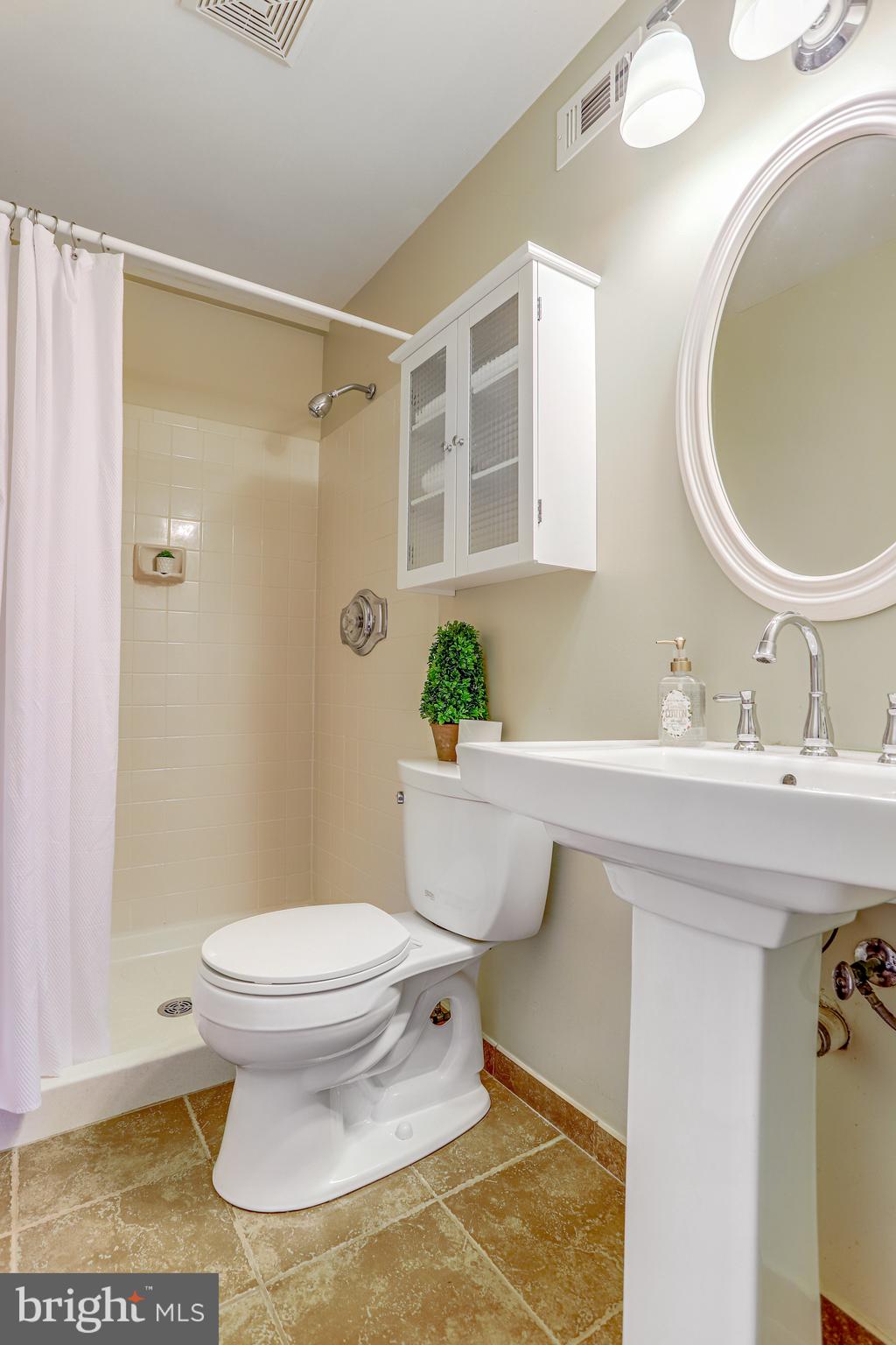 3842 9th Road South Arlington, VA 22204 - Photo 13 of 21 Updated primary ensuite with walk-in shower.