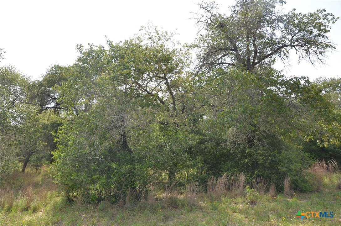 Lot 66 Powder Ridge Luling, TX 78648 - Photo 13 of 14