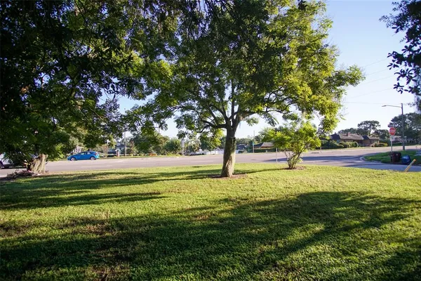 a view of an trees with a yard