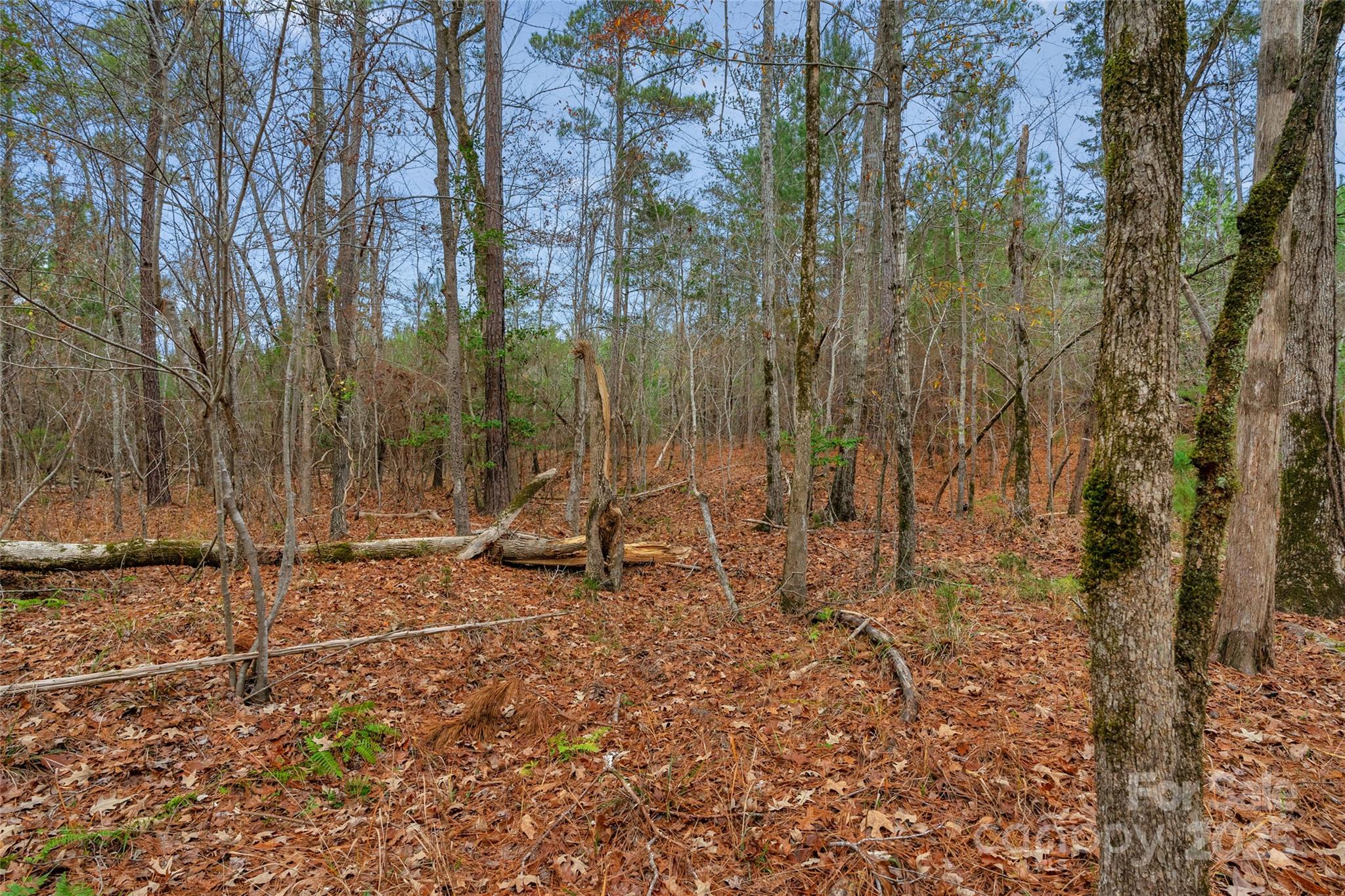 0 River Road, Unit 4 Ridgeway, SC 29130 - Photo 16 of 25