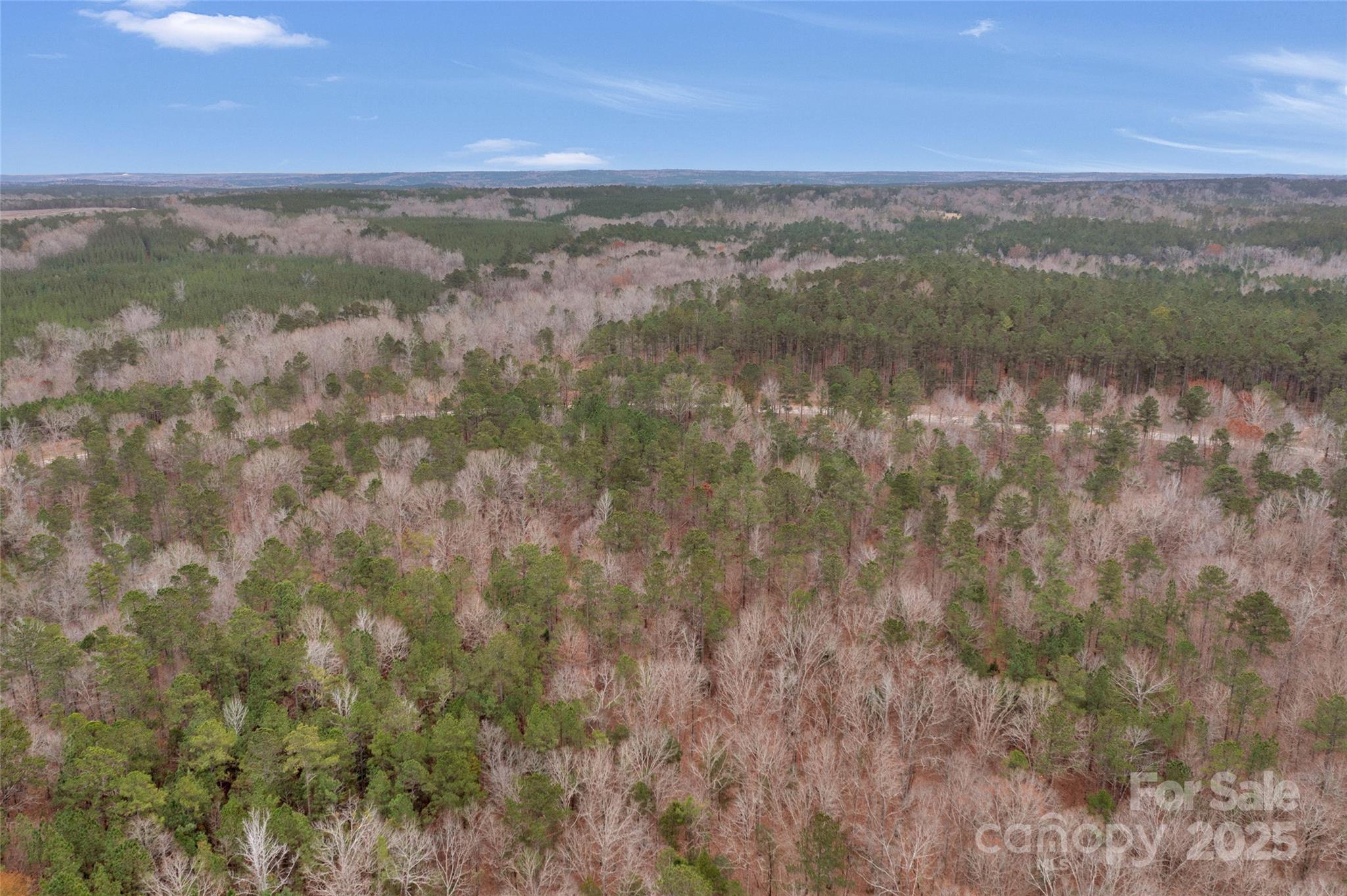 0 River Road, Unit 4 Ridgeway, SC 29130 - Photo 8 of 25