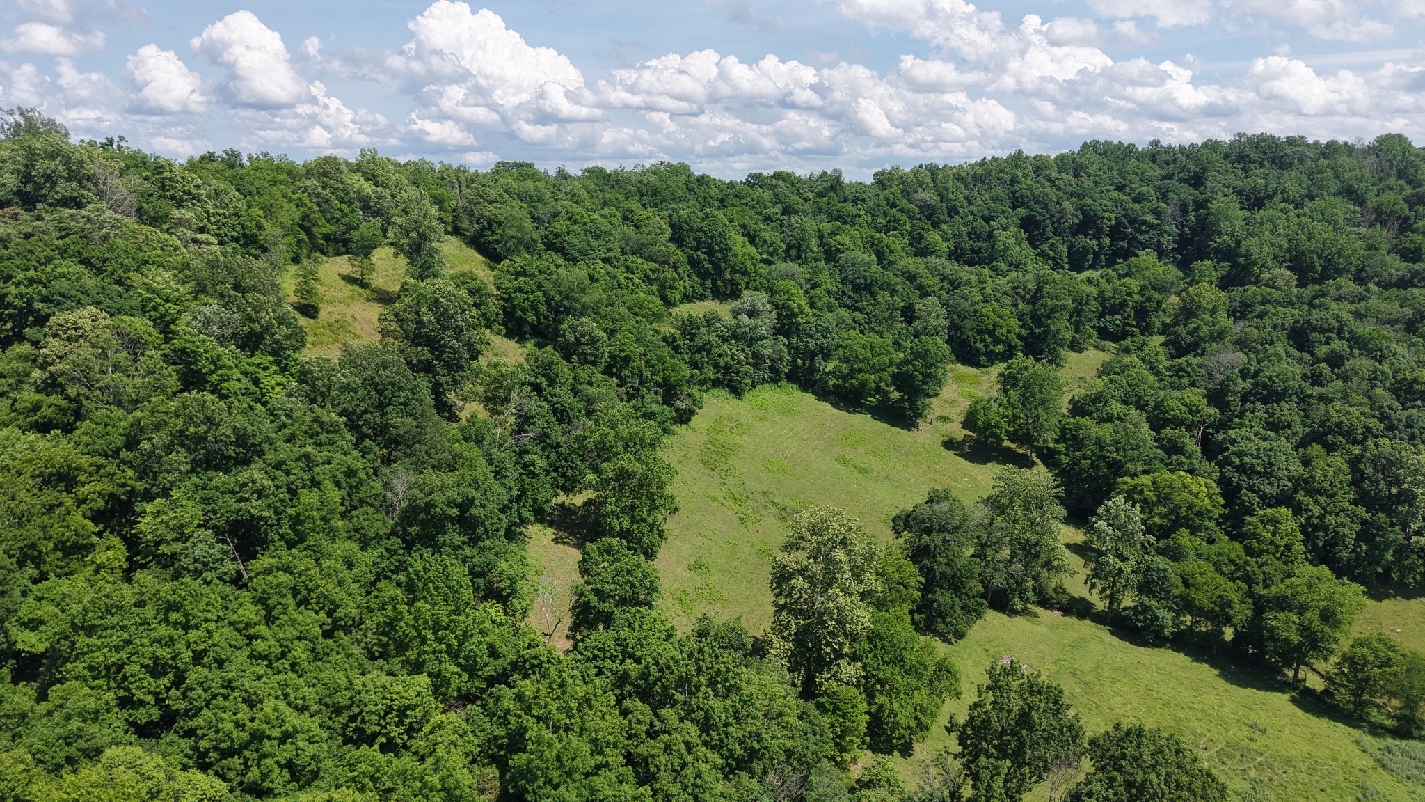 1358 Dry Branch Road Dixon Springs, TN 37057 - Photo 90 of 98