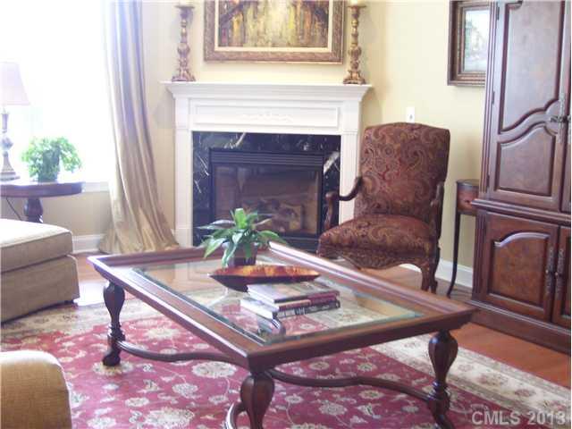 374 Miners Cove Way Fort Mill, SC 29708 - Photo 4 of 15 Gallery Image 4