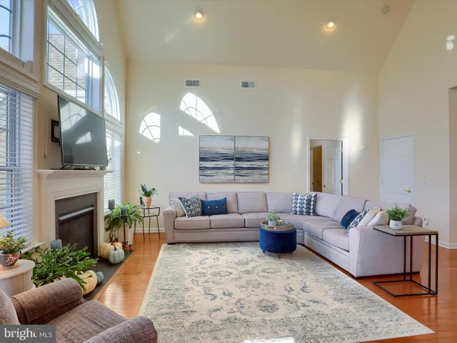 a living room with furniture a fireplace and a potted plant