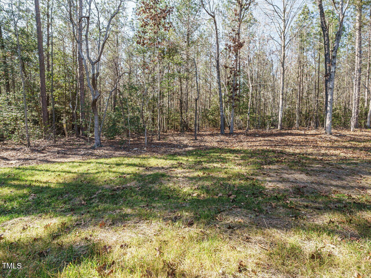 3050 Bennett Siler City Road Bennett, NC 27208 - Photo 30 of 40