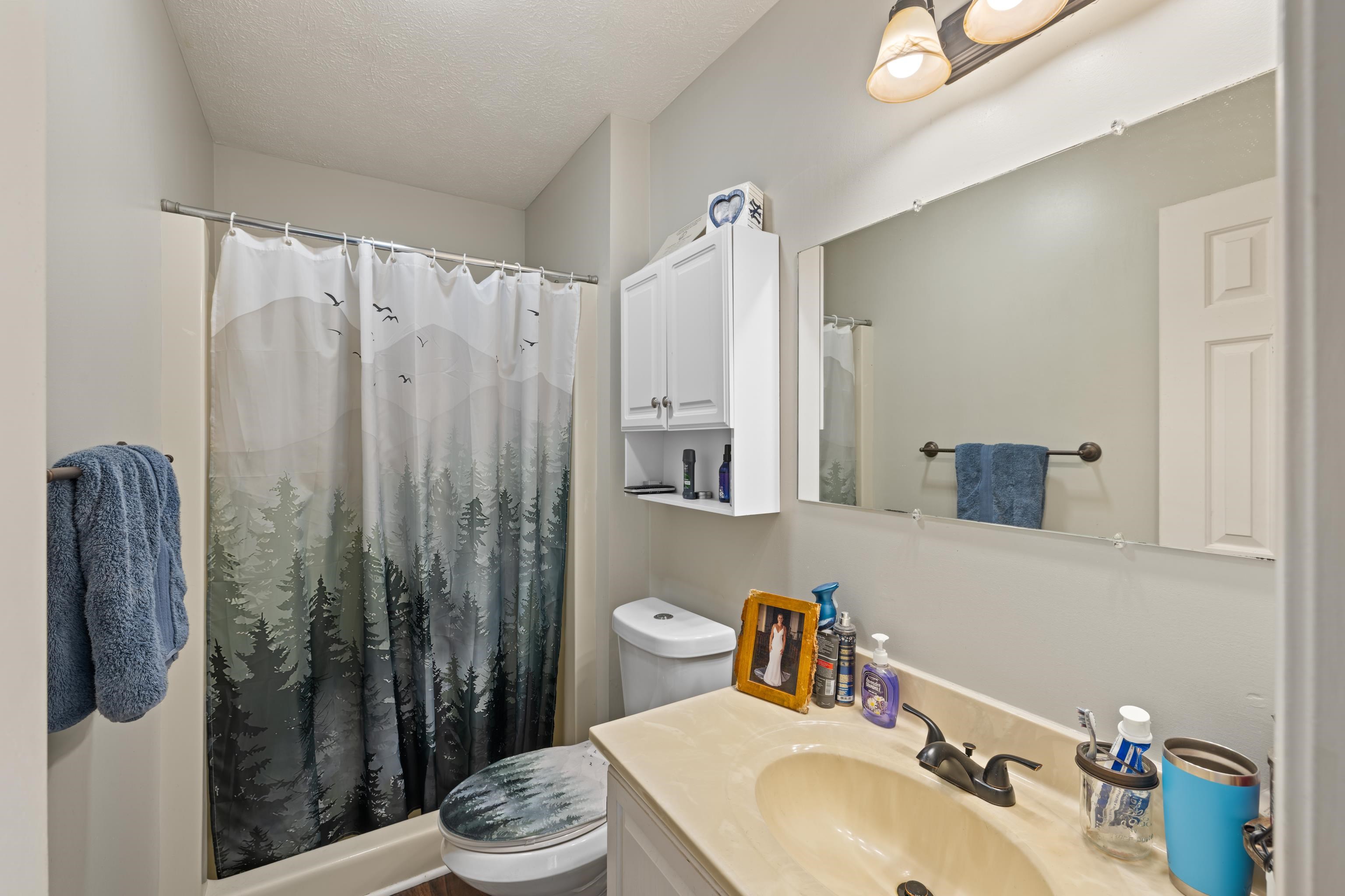 701 Horseshoe Circle Stuarts Draft, VA 24477 - Photo 25 of 70 a bathroom with a sink a toilet and shower