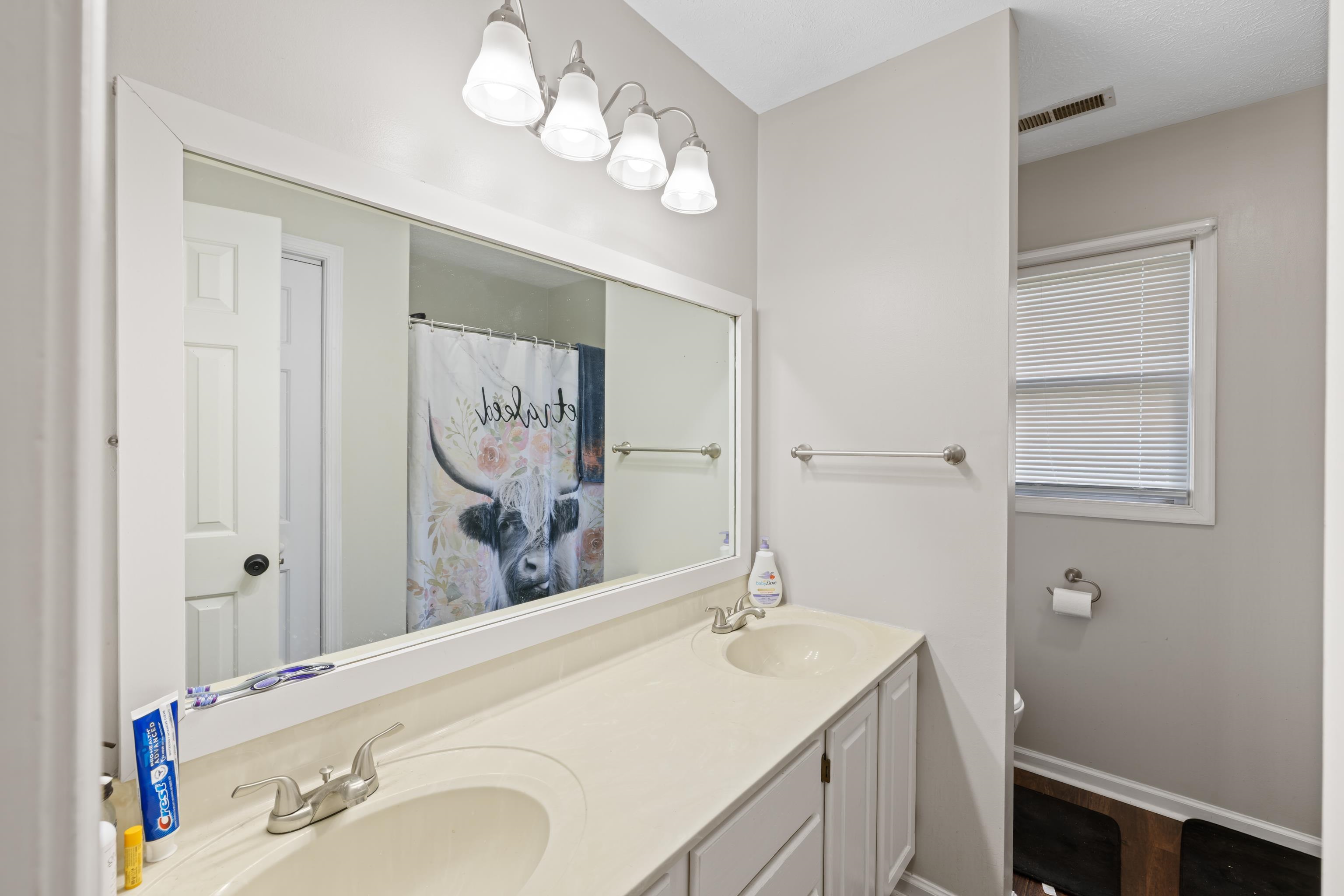 701 Horseshoe Circle Stuarts Draft, VA 24477 - Photo 33 of 70 a bathroom with a sink a vanity and a mirror