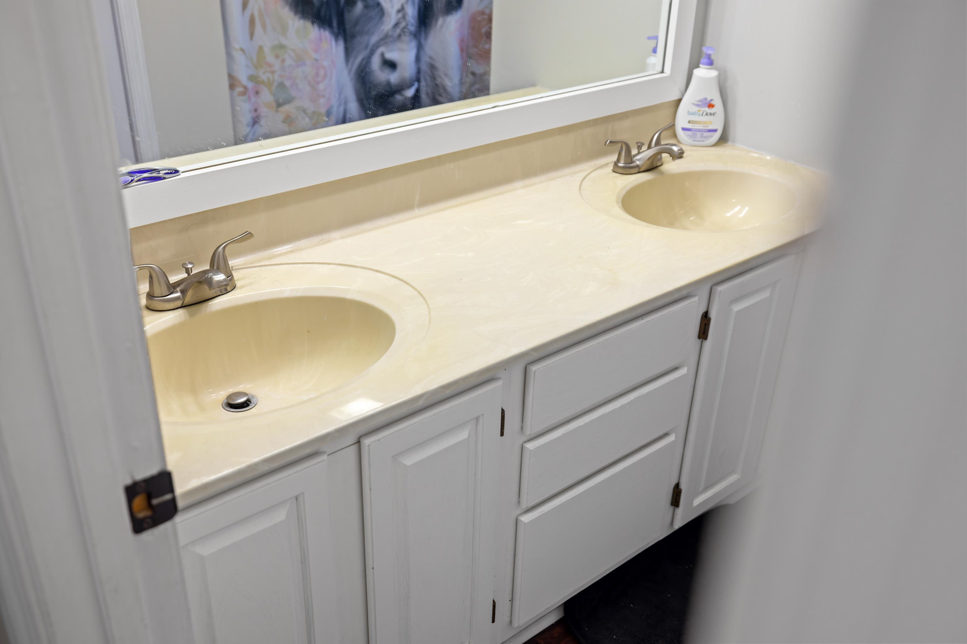 701 Horseshoe Circle Stuarts Draft, VA 24477 - Photo 34 of 70 a bathroom with a sink and a mirror