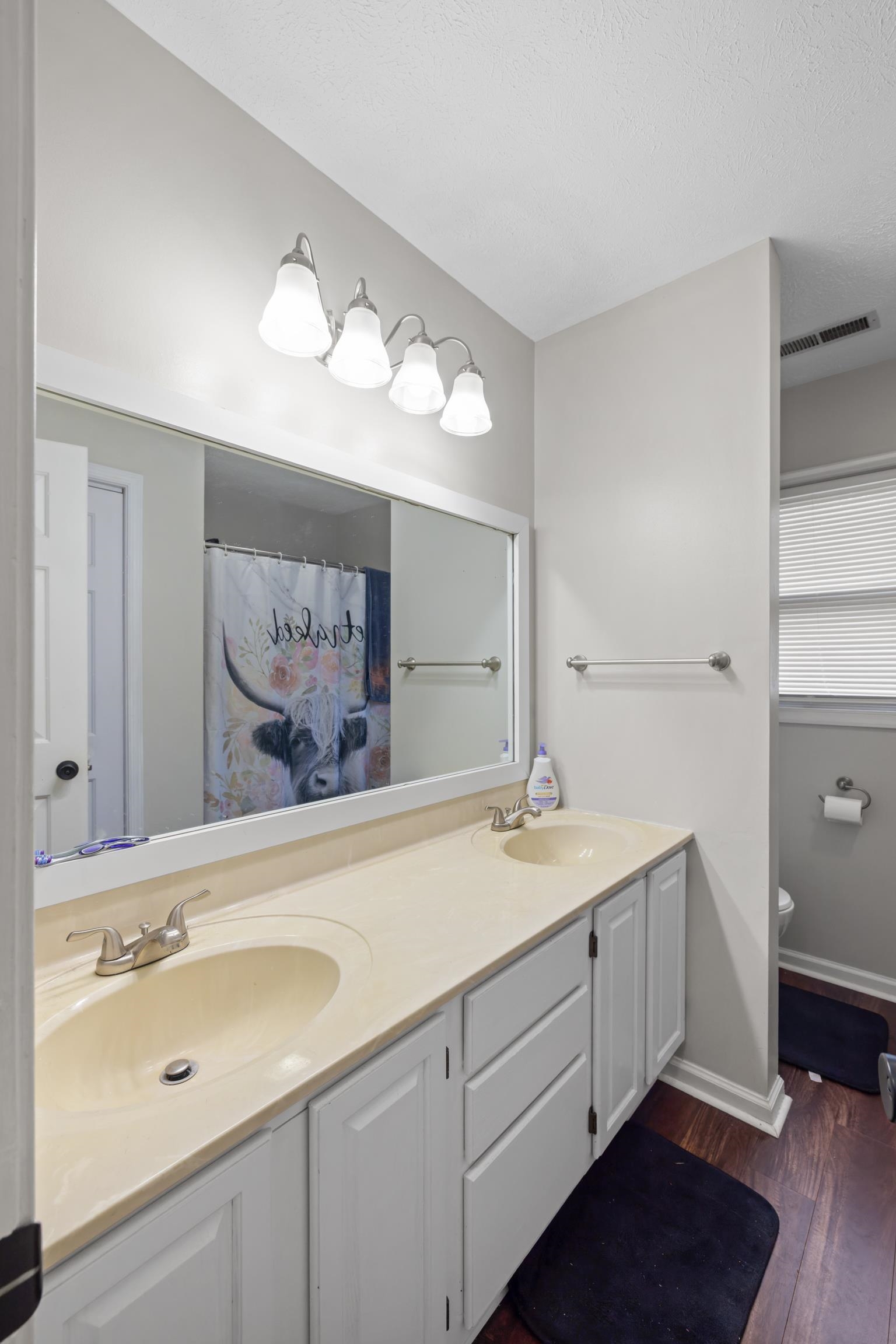 701 Horseshoe Circle Stuarts Draft, VA 24477 - Photo 36 of 70 a bathroom with a sink and a mirror