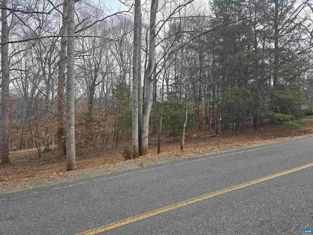 $250,000 | 0 Barrett Street, Palmyra, VA 22963