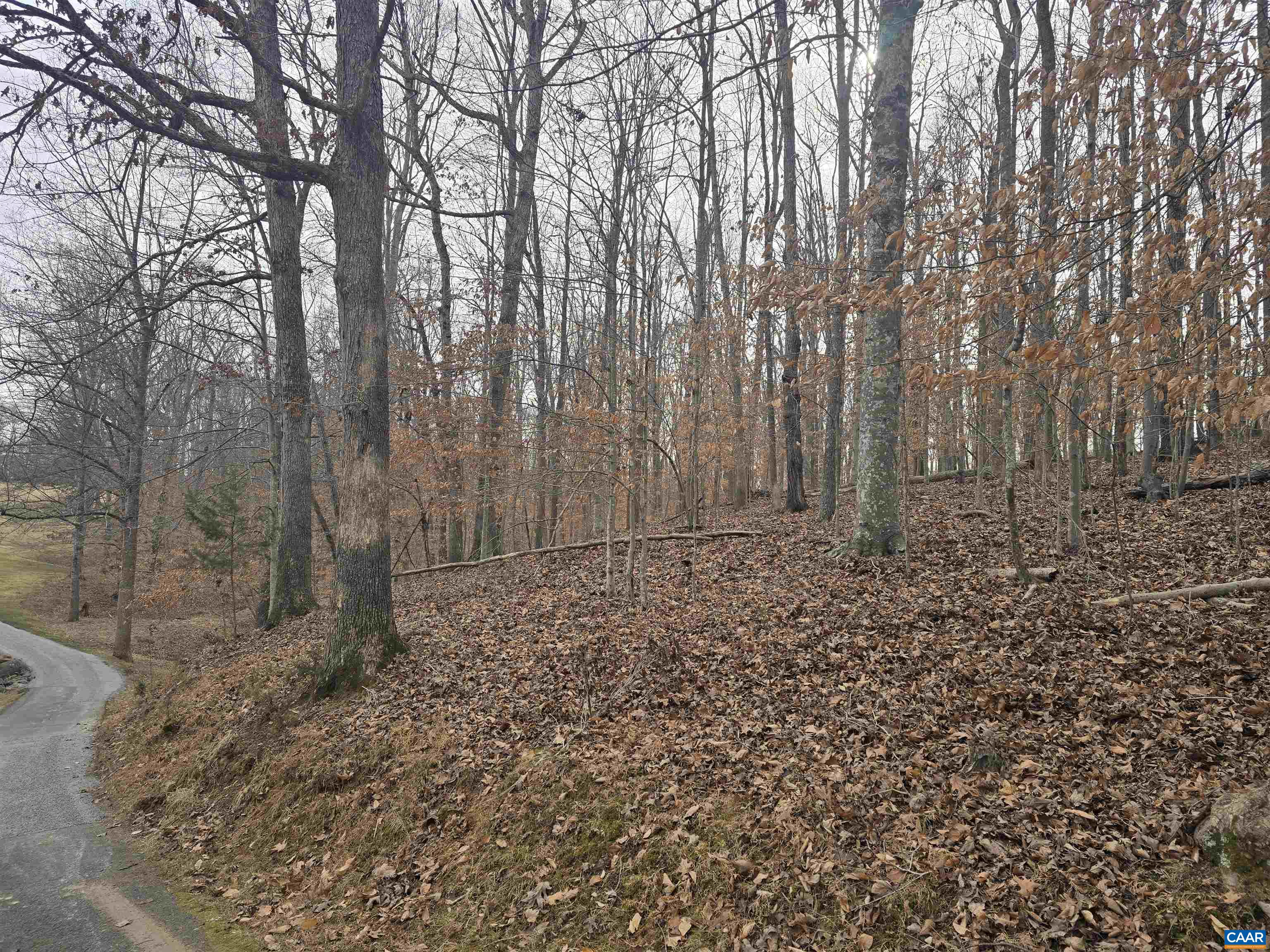 0 Barrett Street Palmyra, VA 22963 - Photo 4 of 5