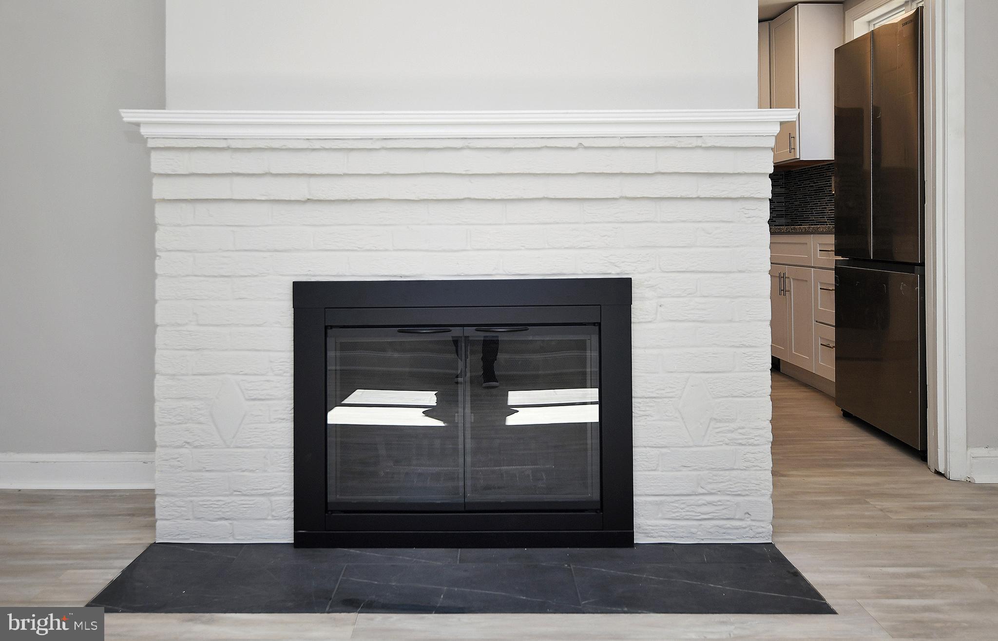 3105 Dawson Avenue Silver Spring, MD 20902 - Photo 8 of 40 Fireplace with custom hearth and glass doors.