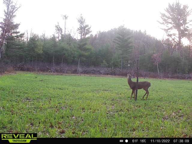 Lot 4 Grayling Tomah, WI 54660 - Photo 29 of 50