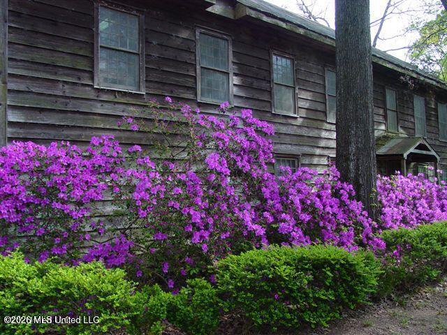 214 Parks Road Jackson, MS 39212 - Photo 90 of 96 Azaelas