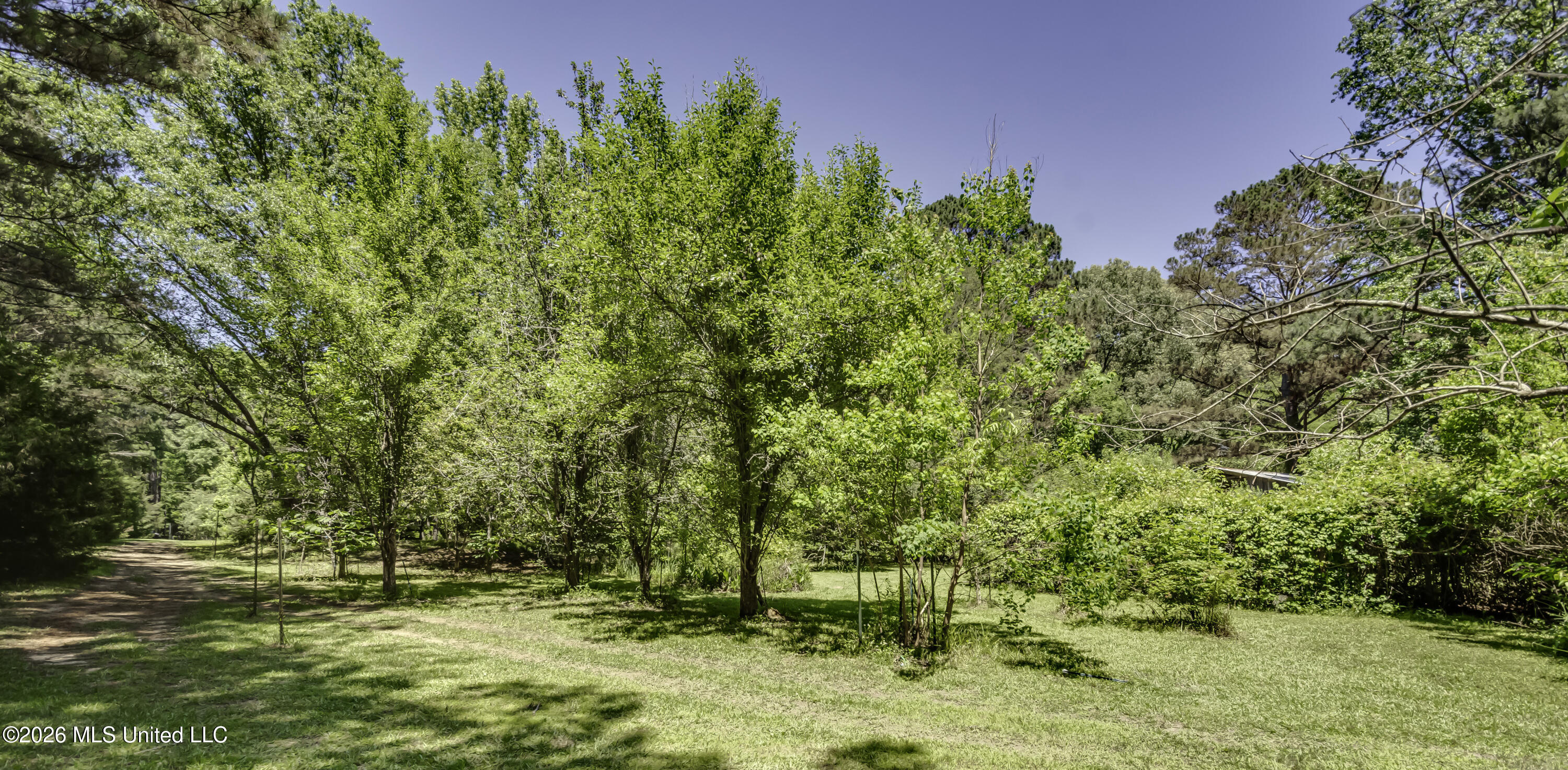 214 Parks Road Jackson, MS 39212 - Photo 92 of 96 Yard