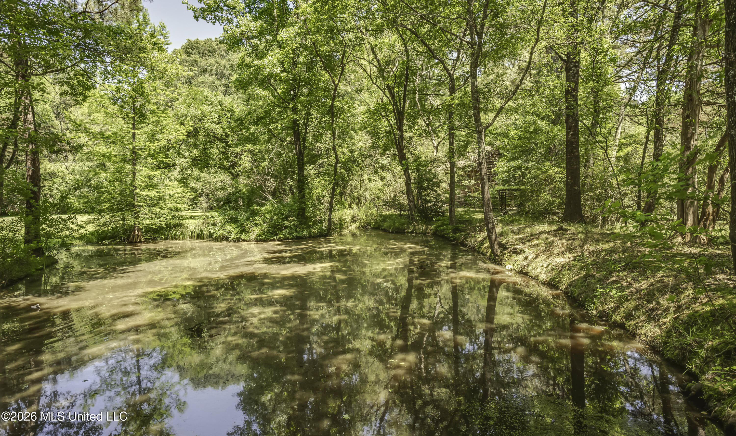 214 Parks Road Jackson, MS 39212 - Photo 93 of 96 Pond