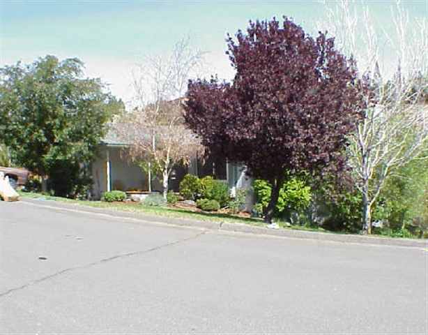 2385 Camelot Way Reno, NV 89509 - Photo 1 of 1 Gallery Image 1