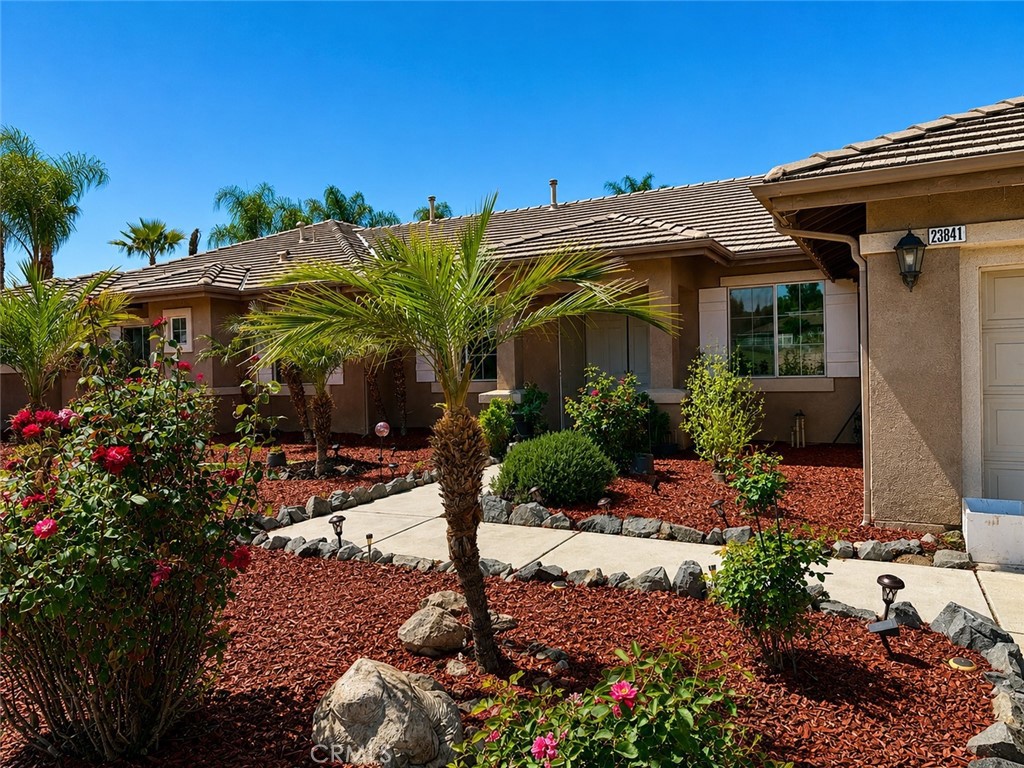 23841 Piedras Road Perris, CA 92570 - Photo 13 of 70 anotehr view of the roses and beautiful palms