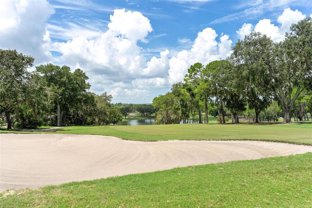 14 Camino Real, Unit 14 Howey-in-the-Hills, FL 34737 - Photo 52 of 62 a view of a golf course