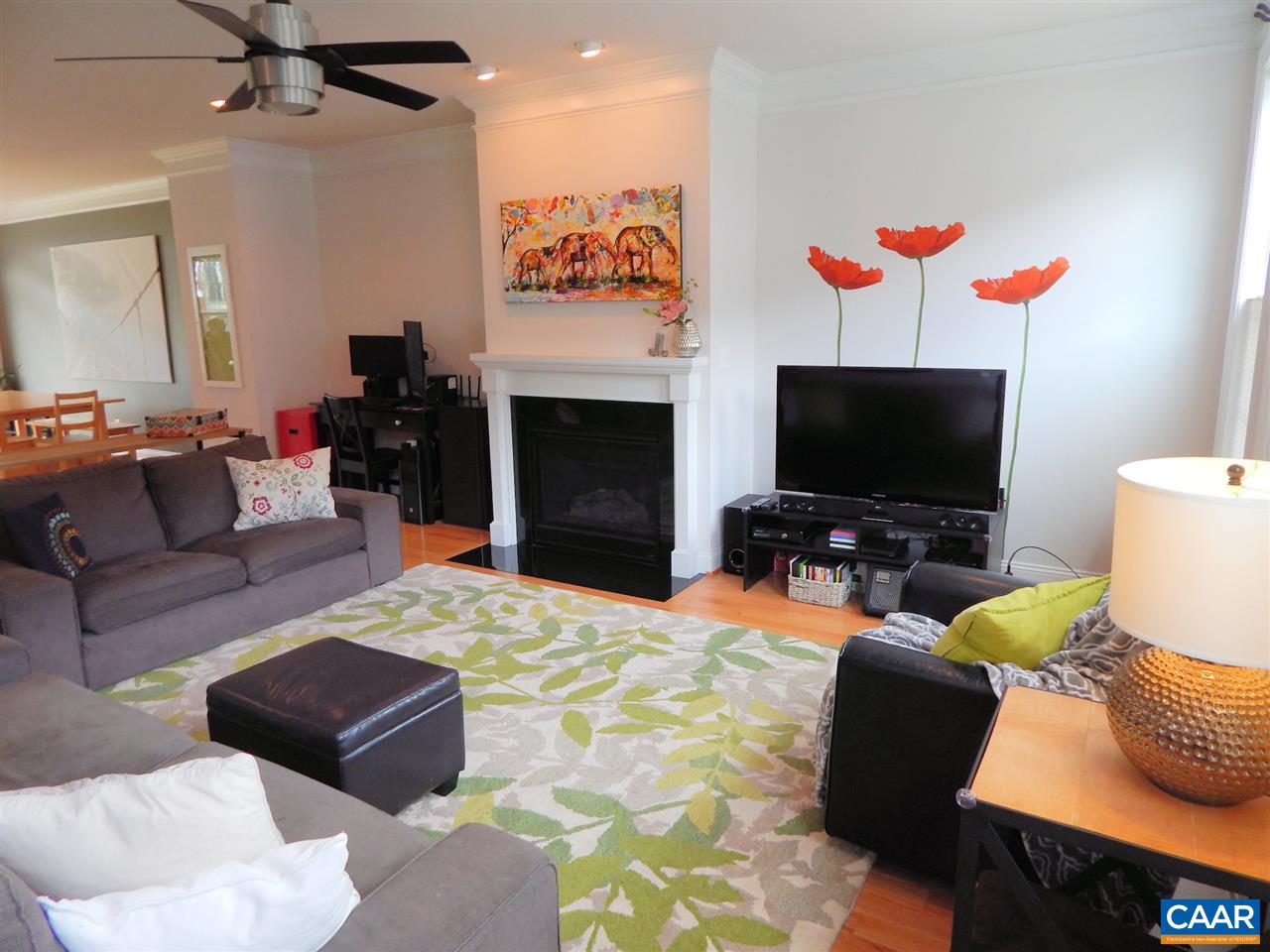 2055 Avinity Loop Charlottesville, VA 22902 - Photo 14 of 28 a living room with furniture and a flat screen tv