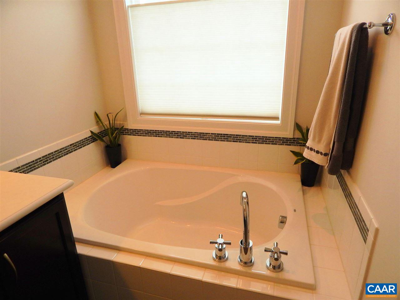2055 Avinity Loop Charlottesville, VA 22902 - Photo 19 of 28 a bathroom with a sink and a mirror