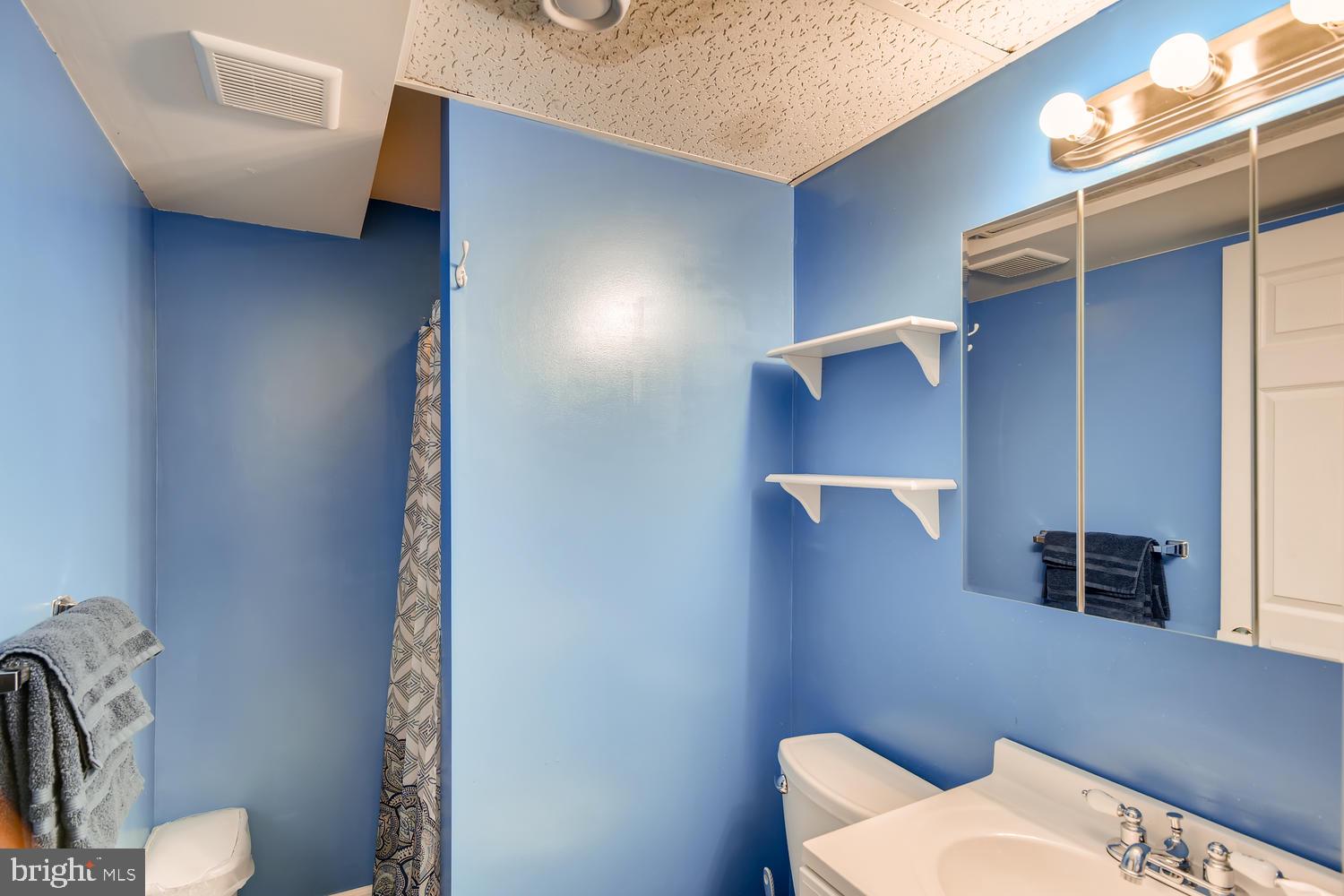 113 Compass Road Baltimore, MD 21220 - Photo 24 of 32 Lower level full bathroom